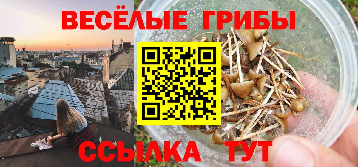 Галлюциногенные грибы GOLDEN TEACHER Гуково