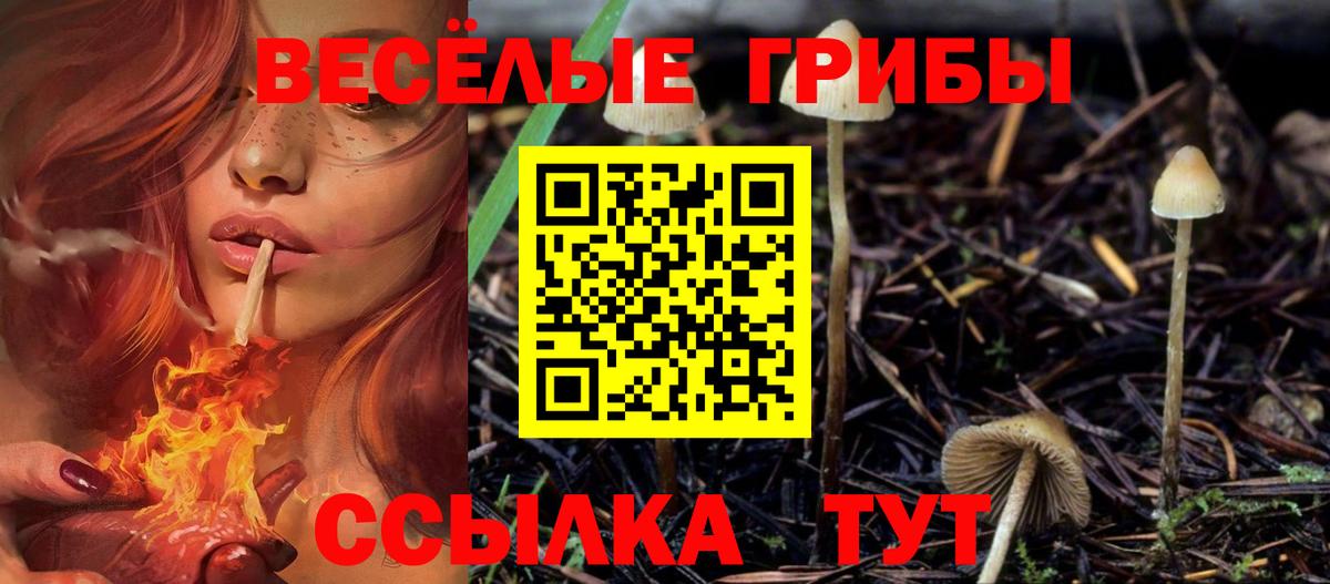 где купить наркоту  Вход с VPN  Псилоцибиновые грибы Psilocybine cubensis  Гуково  Псилоцибиновые грибы Cubensis 