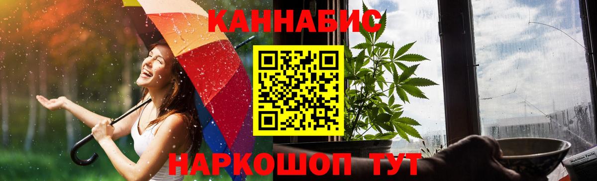 Шишки марихуана OG Kush Гуково